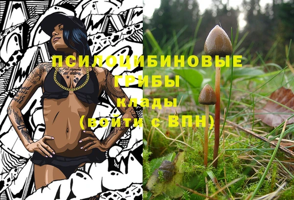амфетамин Ладушкин