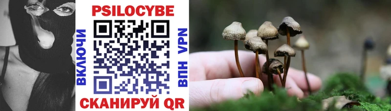 Псилоцибиновые грибы Psilocybe  blacksprut ТОР  Ахтырский  где купить наркоту 